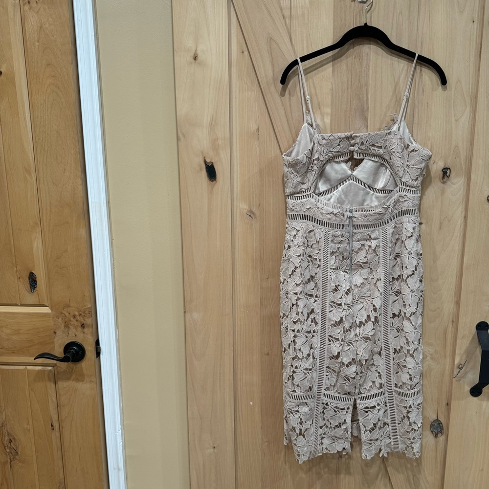 Bardot Botanica Lace Midi Dress Size 8 Nude Beige Floral Overlay Ladder Lace - Picture 5 of 16